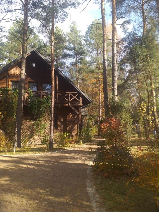 Lesna Ostoja Nad Pilica Villa Lechanice Kültér fotó