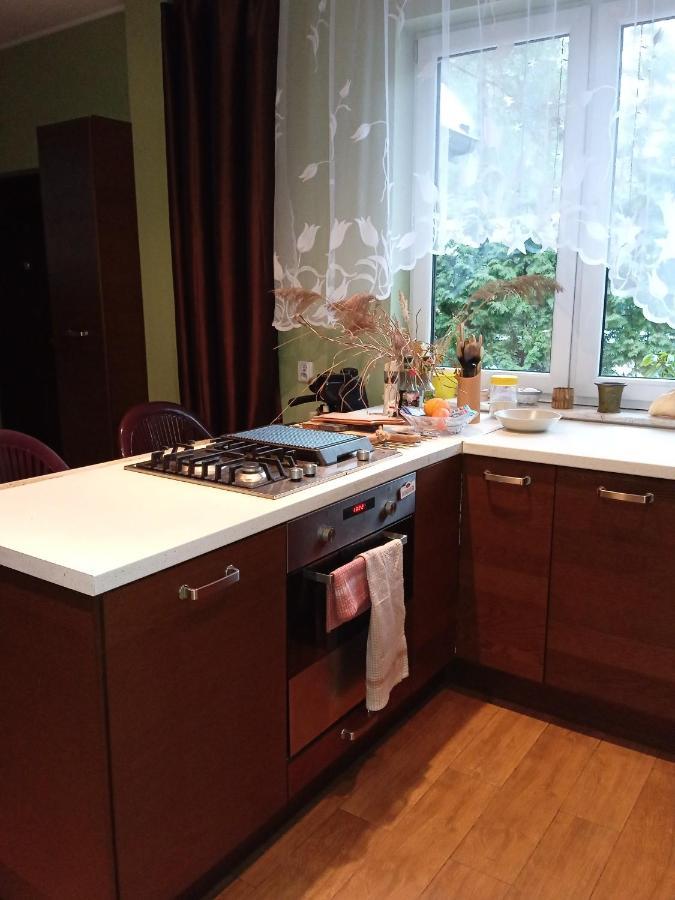 Lesna Ostoja Nad Pilica Villa Lechanice Kültér fotó