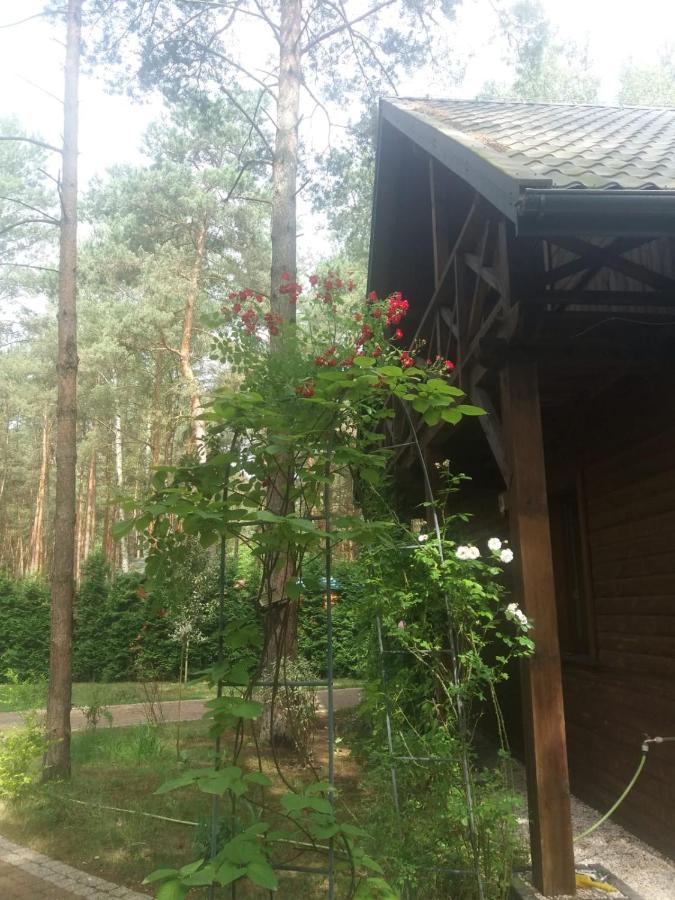 Lesna Ostoja Nad Pilica Villa Lechanice Kültér fotó