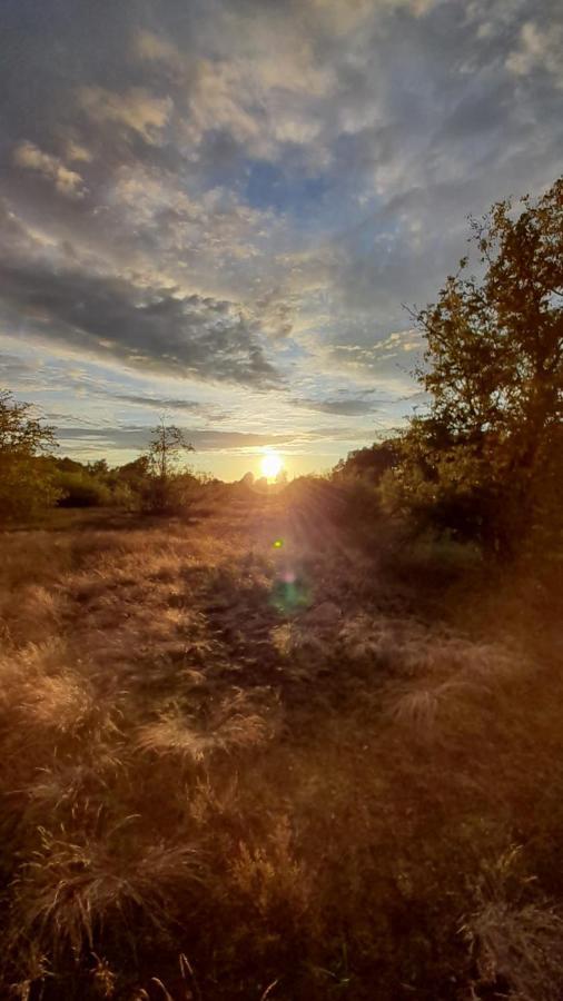 Lesna Ostoja Nad Pilica Villa Lechanice Kültér fotó