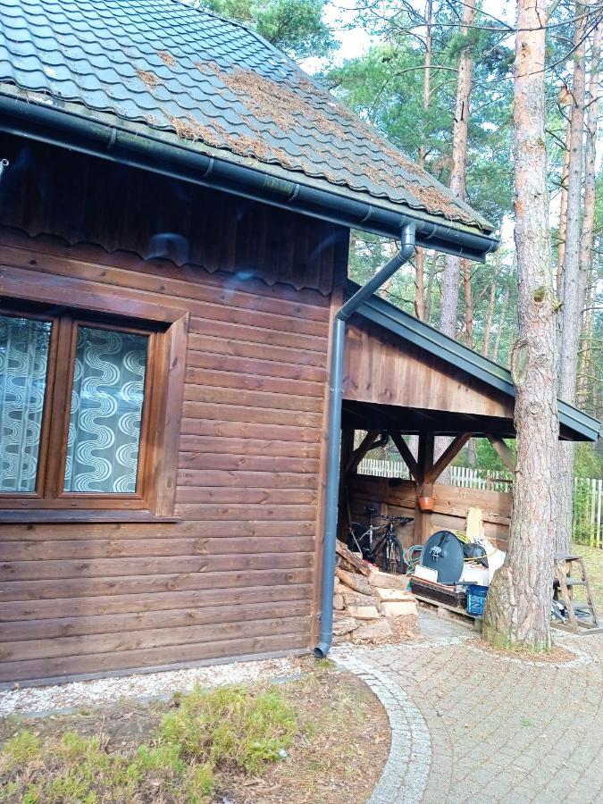 Lesna Ostoja Nad Pilica Villa Lechanice Kültér fotó