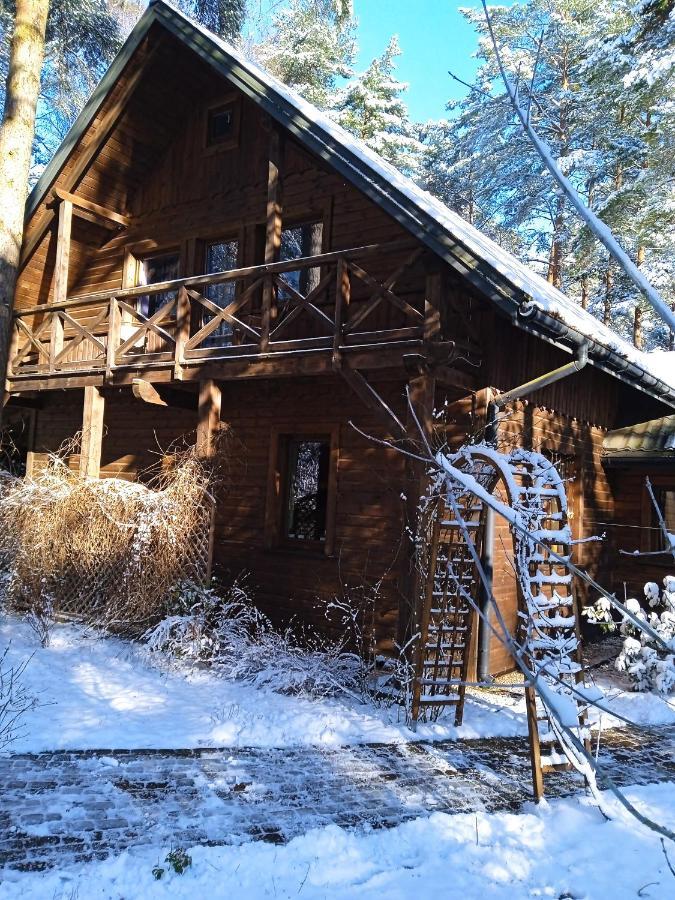 Lesna Ostoja Nad Pilica Villa Lechanice Kültér fotó
