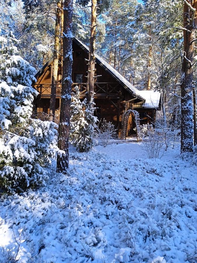 Lesna Ostoja Nad Pilica Villa Lechanice Kültér fotó