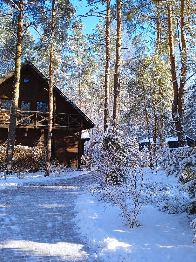Lesna Ostoja Nad Pilica Villa Lechanice Kültér fotó