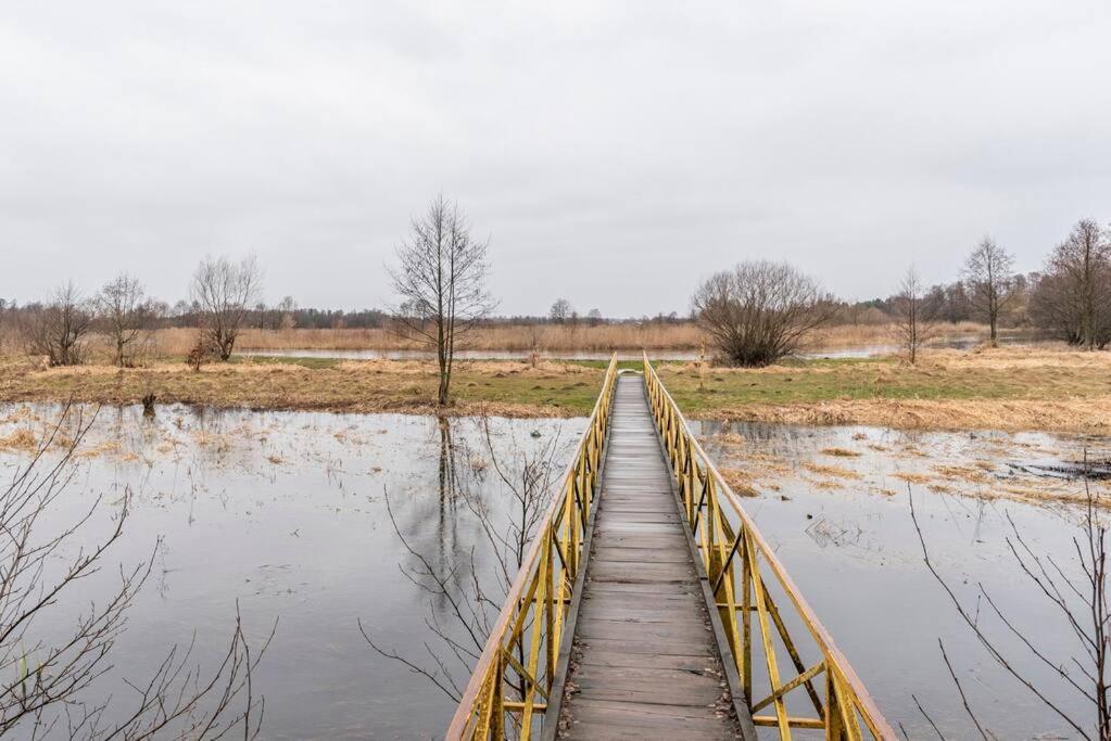 Lesna Ostoja Nad Pilica Villa Lechanice Kültér fotó